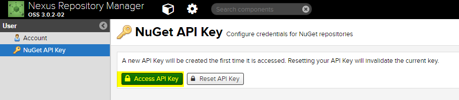 Access Nuget API Key